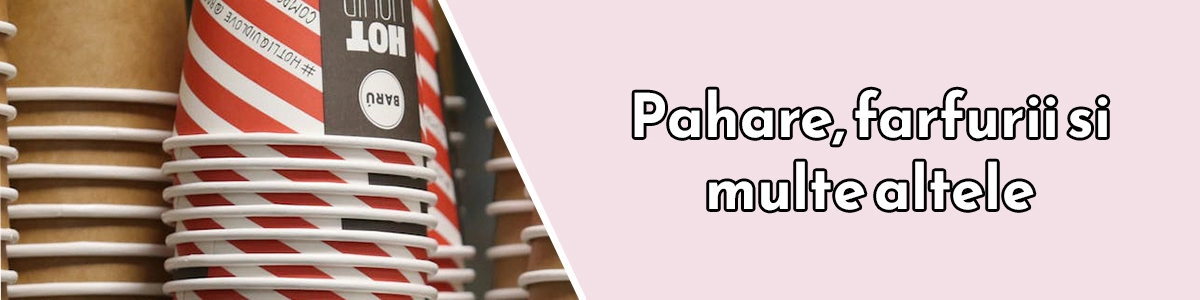 Produse unica folosinta