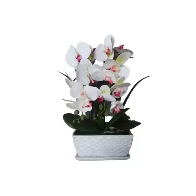 Orhidee artificiala pvc alb-roz in ghiveci ceramic patrat - 0645