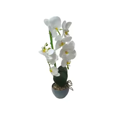 Orhidee alba cu aspect natural in ghiveci ceramic - 00119