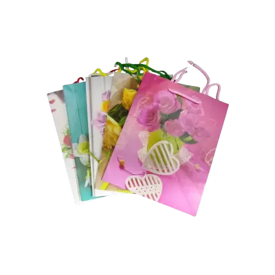 Punga pentru cadou 23 x 18 x 10 cm diverse modele 12 buc/set